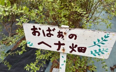 Visiting “Obaa’s Henna Farm” in Ishigaki Island